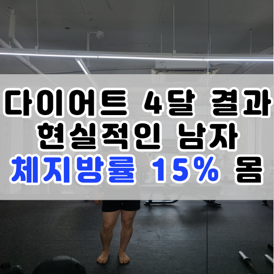  일반식 다이어트 4달 결과 : 남자 체지방률 15% 몸