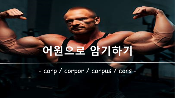 [영어 단어 암기] 접두사 / 접미사 corp, corpor, corpus, cors 의 의미