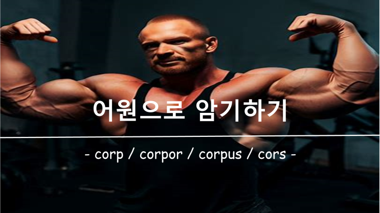  [영어 단어 암기] 접두사 / 접미사 corp, corpor, corpus, cors 의 의미