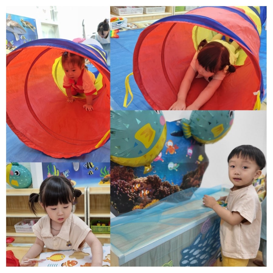바다속으로 사진 8