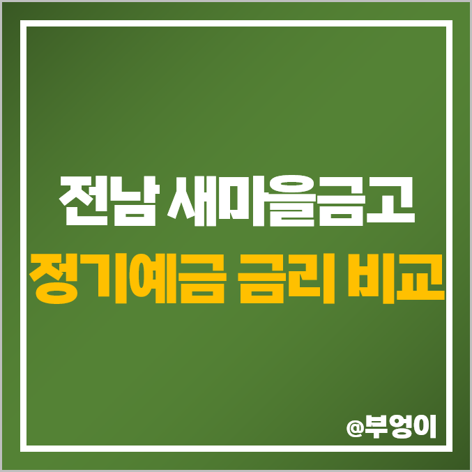 전남 새마을금고 정기예금 금리 이자 비교, 특판 이자율 높은 곳 (나주, 해안, 시안, 여수, 영광, 목포)