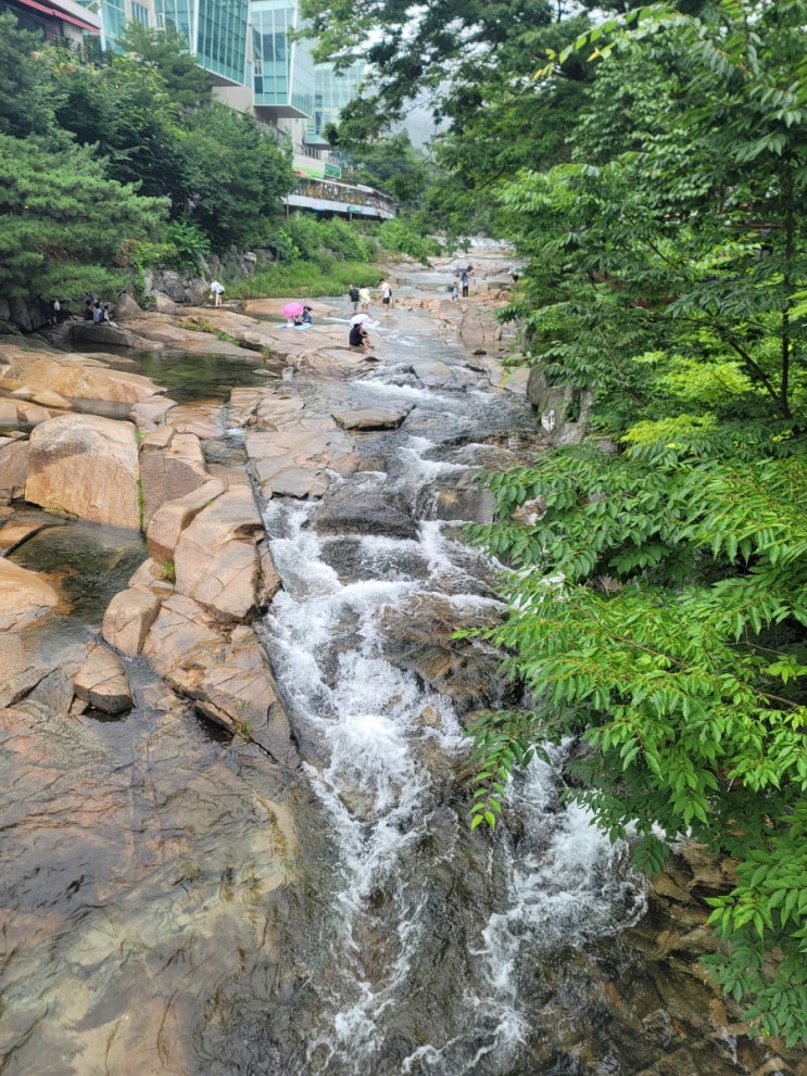  안양예술공원 비오는 날 풍경 백숙집에서