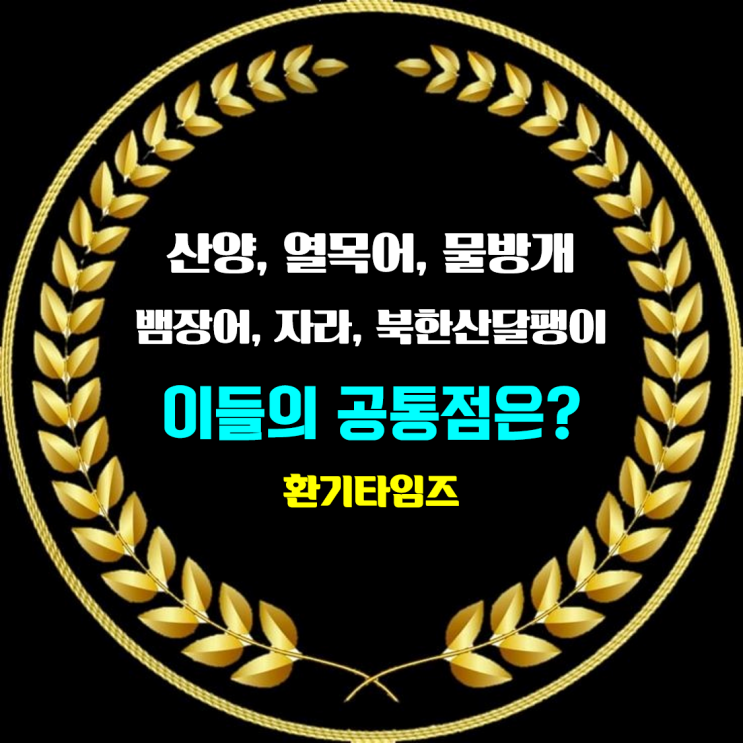 산양, 열목어, 물방개, 뱀장어, 자라, 북한산달팽이, 큰논우렁이...의 공통점은?_환기타임즈 다올시스템 산양, 열목어, 물방개, 뱀장어, 자라, 북한산달팽이, 큰논우렁이...의 공통점은?_환기타임즈 다올시스템
