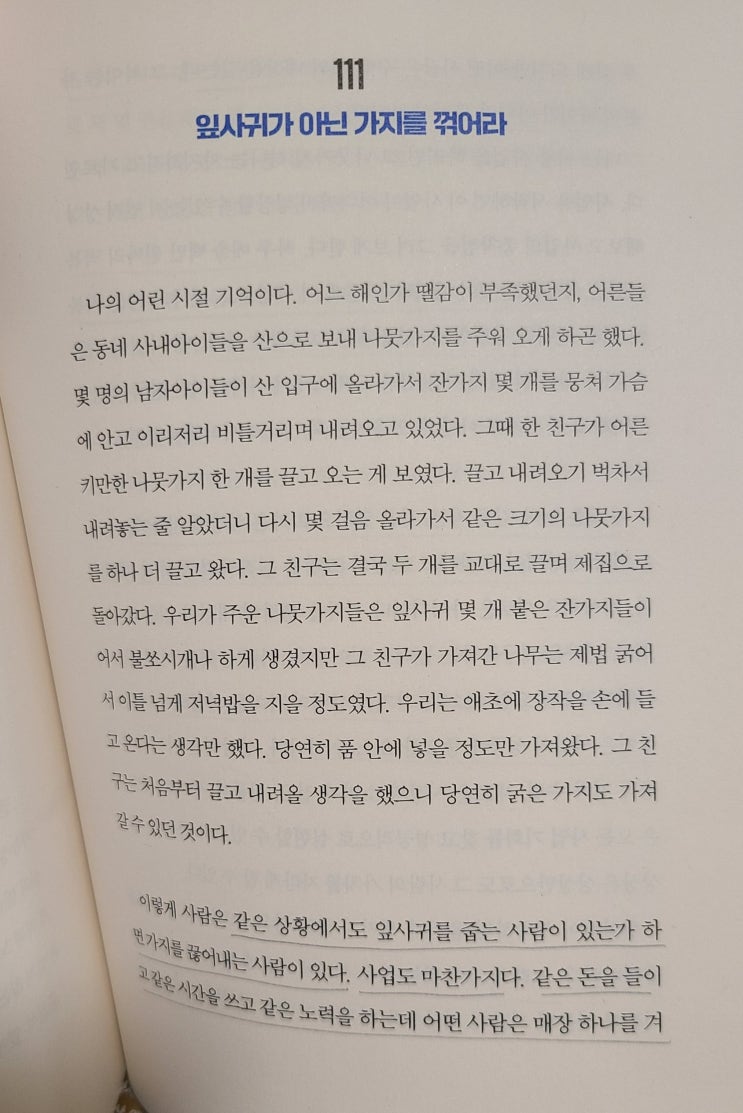  잎사귀가 아닌 가지를 꺽어라. 사장학개론