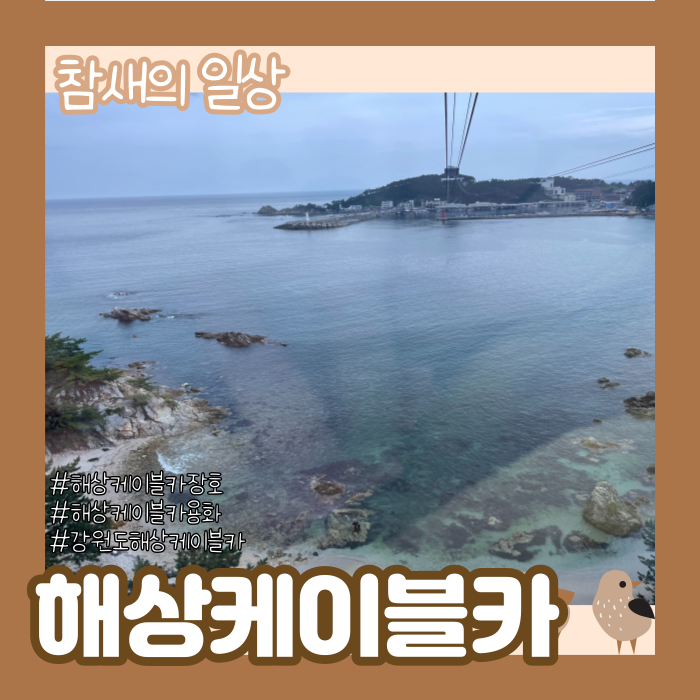  강원도 삼척 해상케이블카 용화역/장호역 탑승 후기, 시설 안내