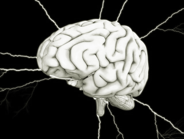 뇌의 신경전달물질, 아미노산,신경 펩티드는