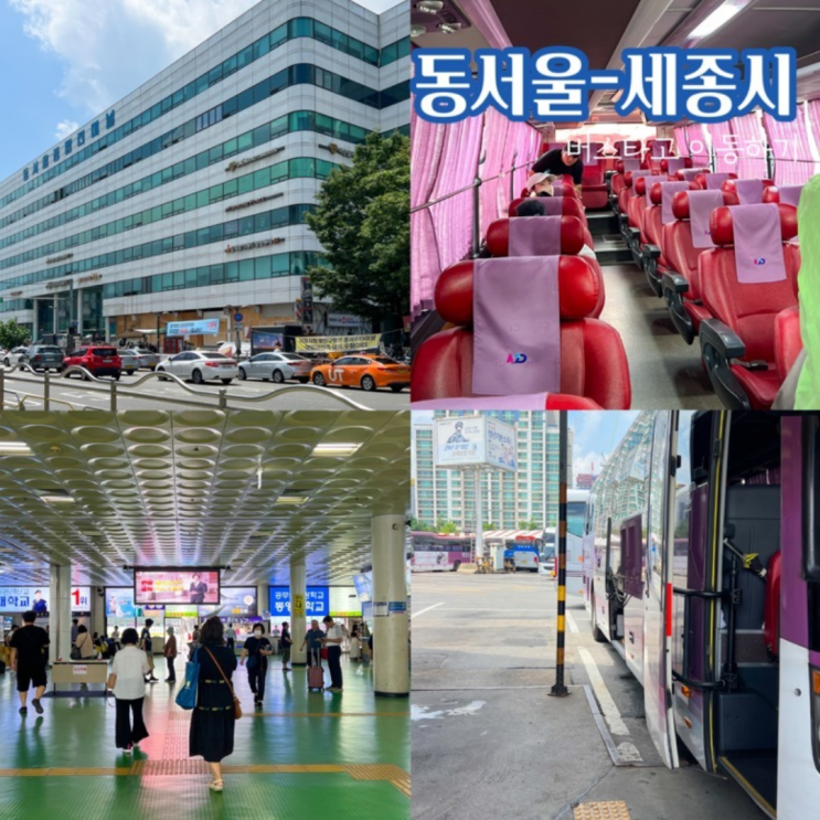동서울터미널에서 세종터미널 버스 시간표