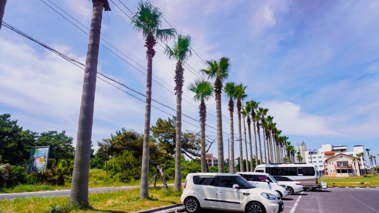 제주도 서쪽 해수욕장 (협재, 금능) 비교 제주도 서쪽 해수욕장 (협재, 금능) 비교