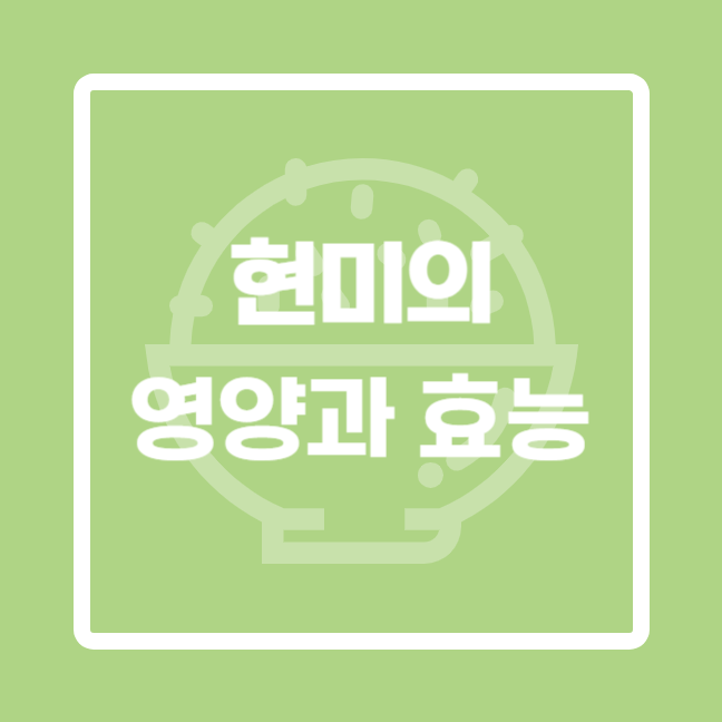  현미 백미 차이 영양 효능 부작용 칼로리