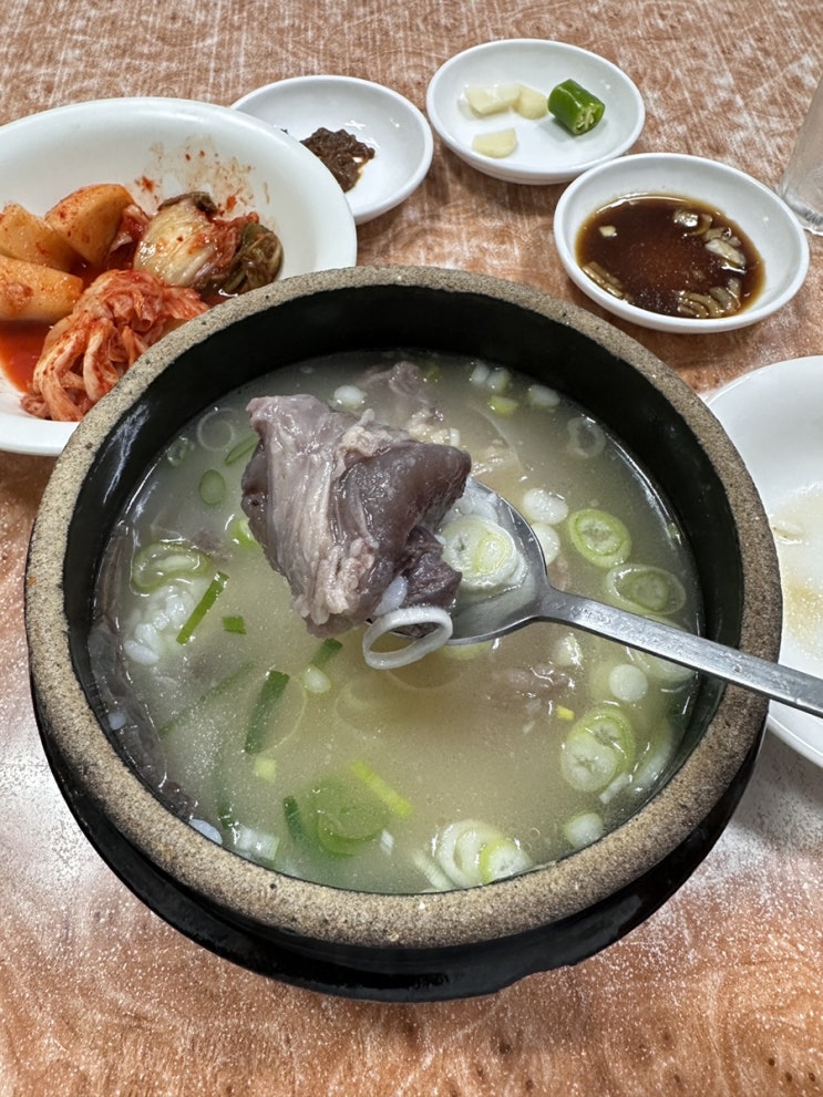 잠실 삼전동 노포 국밥 맛집 유원설렁탕 / 유원 특탕 후기