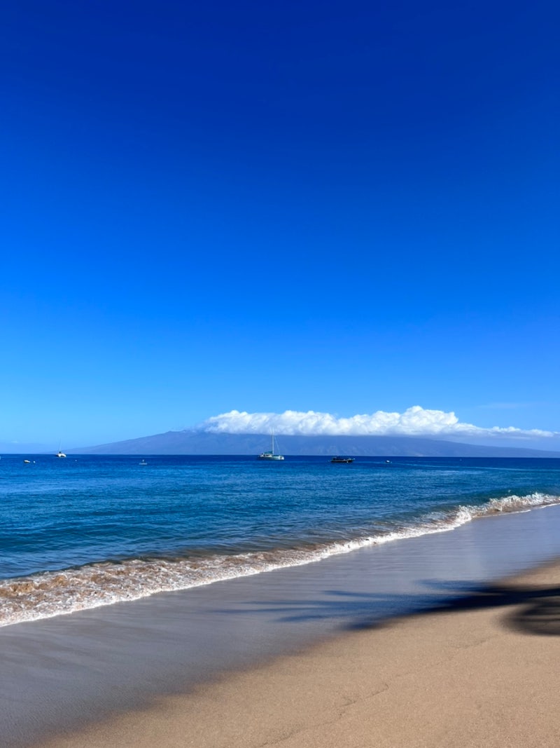하와이 신혼여행 3일차_마우이, 오하우 이동(마우이 렌터카 주유, 쉐라톤 와이키키 오션프론트룸, 마그로 브라더스) : 네이버 블로그, image size:800x1067