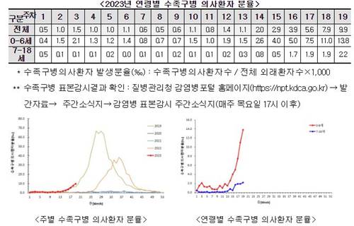  수족구병이란? 원인, 증상, 지속기간 정리