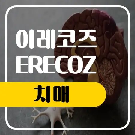  치매 전조증상 간략하게 요약해봤어요