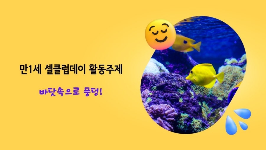 바다속으로 사진 5