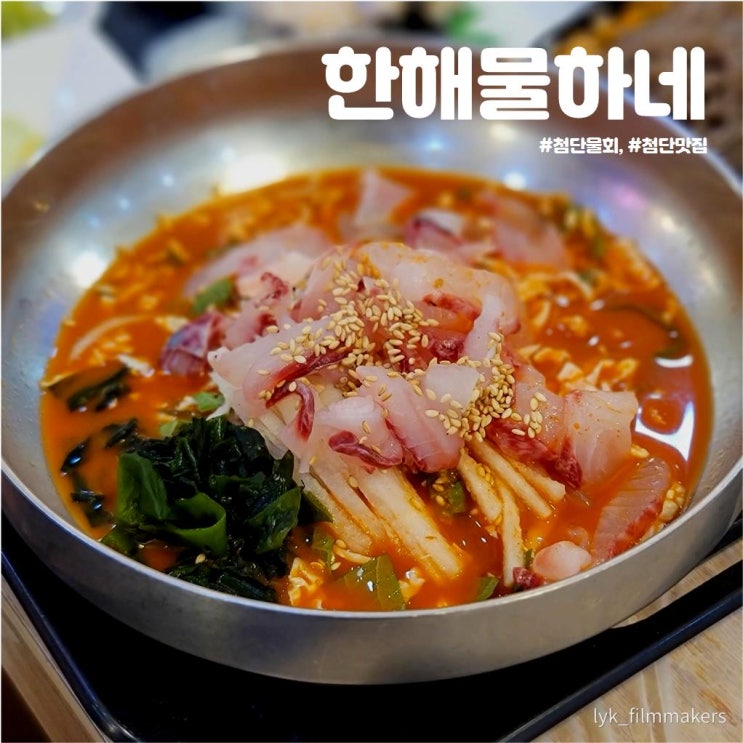 첨단물회 해물찜 맛집 한해물하네 첨단회식장소 추천