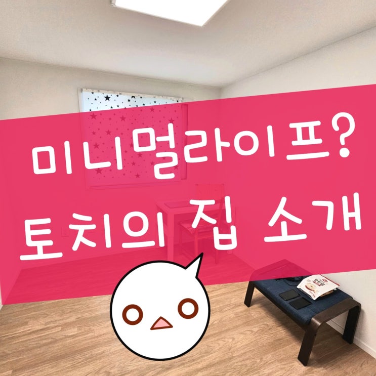  토치의 첫 집 소개, 미니멀라이프 도전 1년 근황