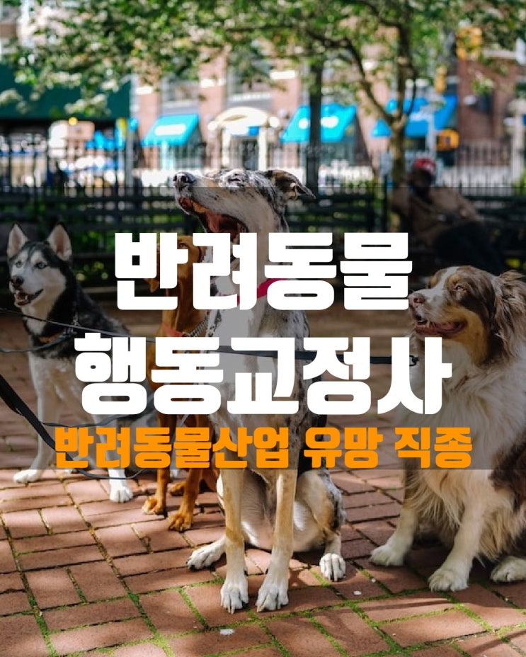 반려동물산업의 유망 직종 '반려동물행동교정사'