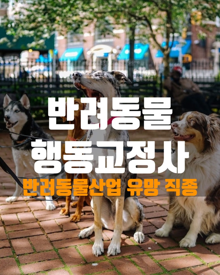  반려동물산업의 유망 직종 '반려동물행동교정사'