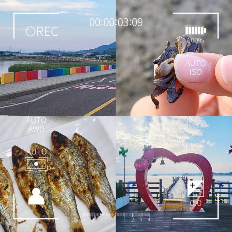  사천 삼천포 여행 코스 무지개해안도로 부잔교갯벌탐방로 대포항 전어 빨간지붕 후기