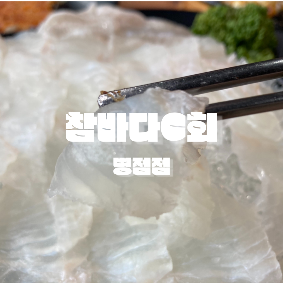 참바다C회 사진 1