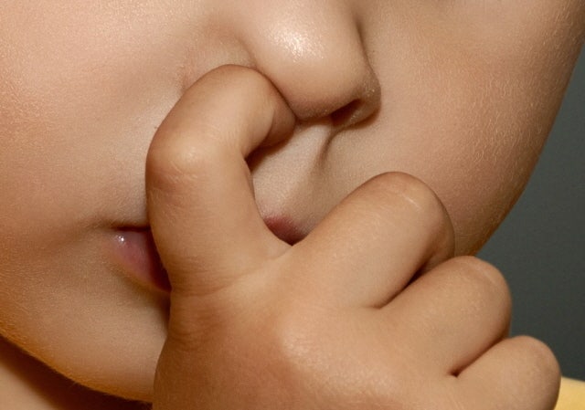 코꿈 해몽 : 코딱지꿈, 코푸는꿈, 코성형꿈, 코수술꿈, 코털꿈, 코피꿈, 코뼈부러지는꿈 등!