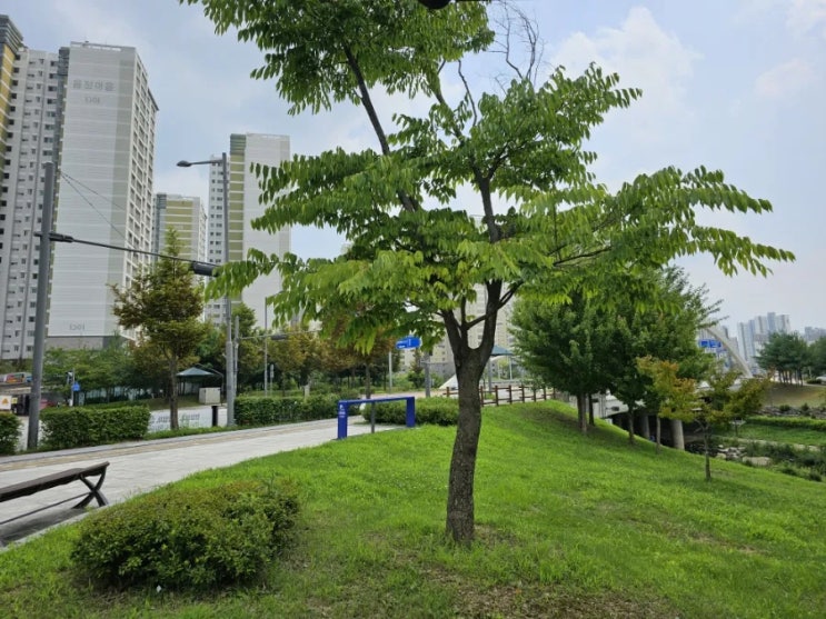  나도 애드 포스트로 돈 벌어봐?