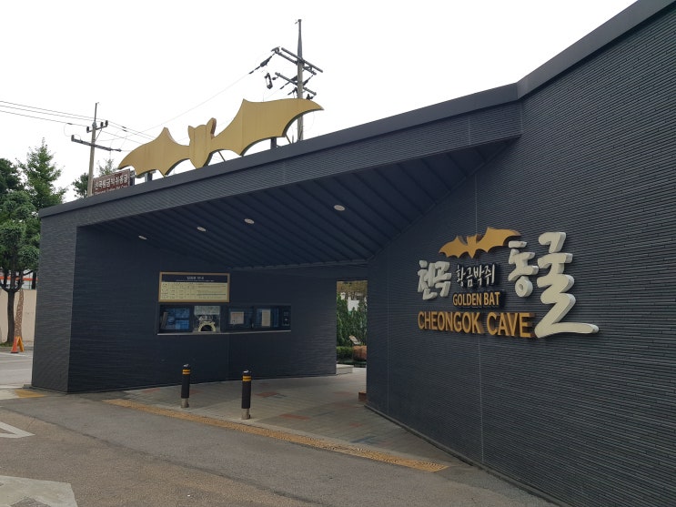  동해 가볼만한 곳 ; 천곡 황금박쥐 동굴