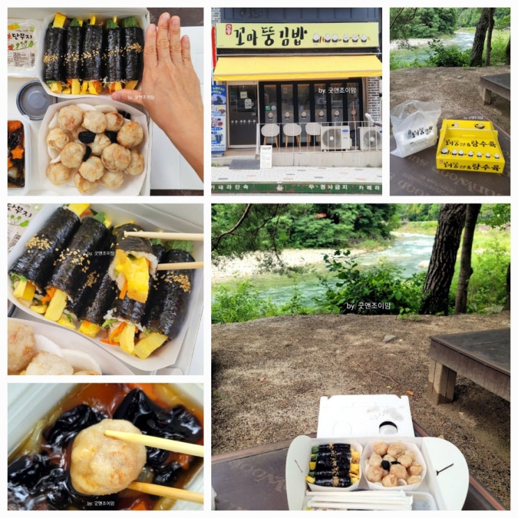꼬마뚱김밥_단양 구경시장 먹거리 꼬마김밥 맛집 흑마늘 찹쌀탕수육 맛집 계곡 피크닉 도시락 꼬마뚱김밥_단양 구경시장 먹거리 꼬마김밥 맛집 흑마늘 찹쌀탕수육 맛집 계곡 피크닉 도시락