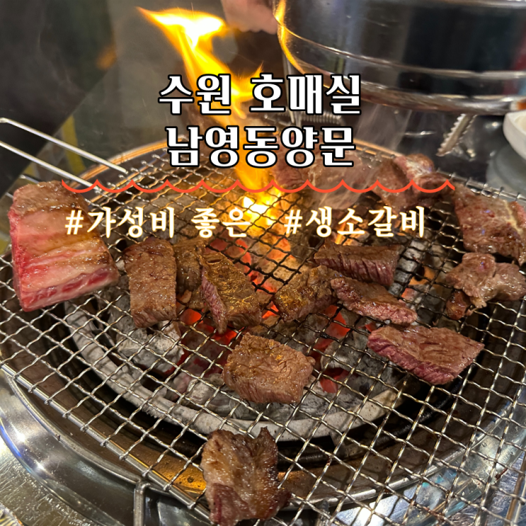  수원 호매실 퀄좋은 생갈비 맛집 남영동양문