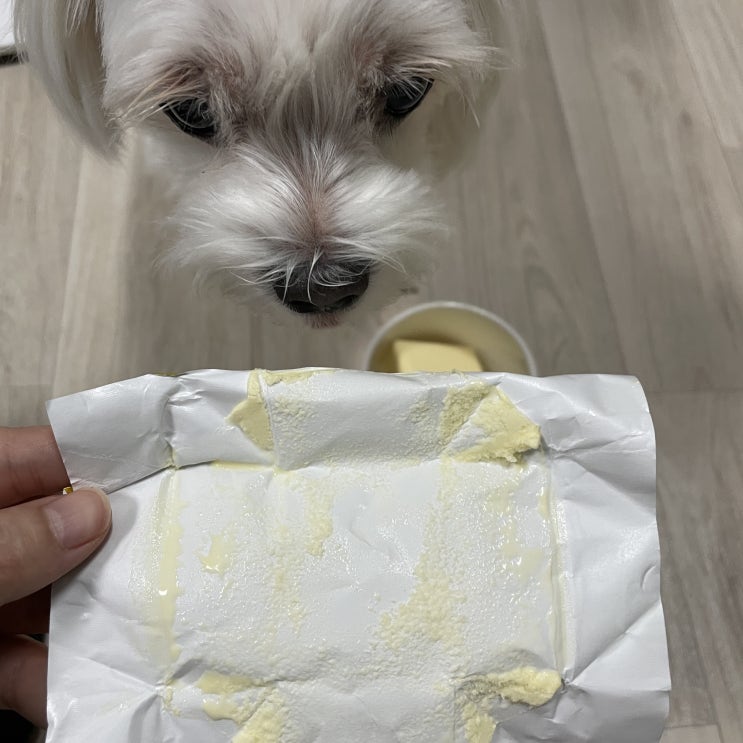 엑설런트 커피 아포카토 집에서 맛있게