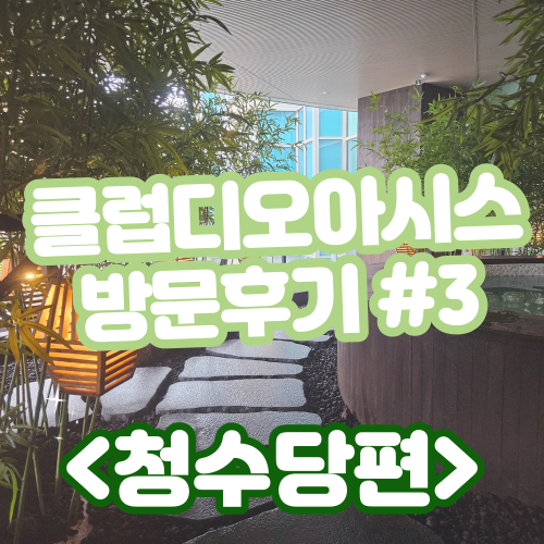  [부산해운대/핫플] 클럽디오아시스 방문후기 #3 (️청수당/야외노천탕️)