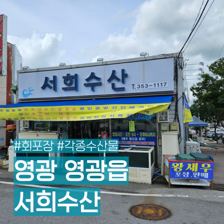 영광 영광터미널 근처 각종 회 전어회 왕새우 포장 전문 맛집 서희수산