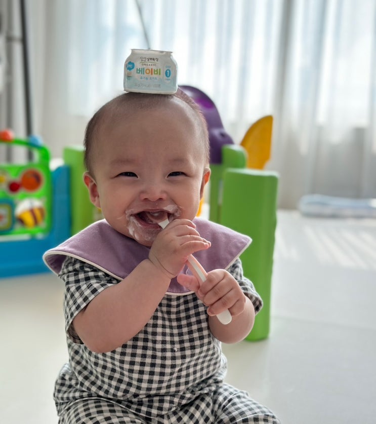 시판이유식 체험 리스트 | 모유수유 이유식 시기, 6개월 이유식, 시판이유식 핫딜, 6개월 아기 간식