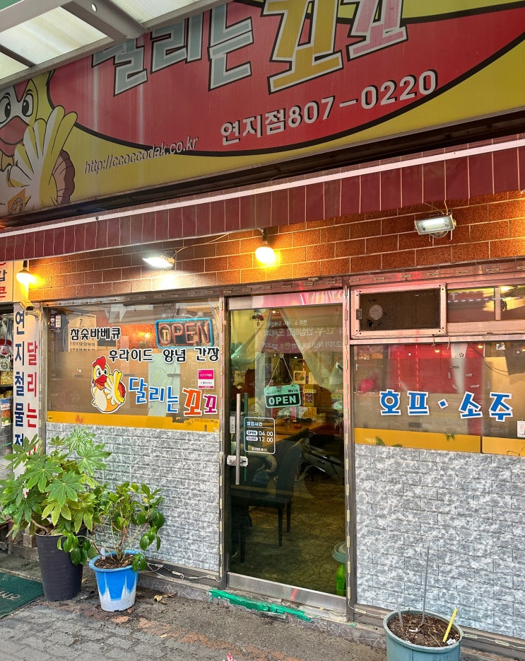  부산 연지 달리는꼬꼬 치킨맛집 치킨 연지술집 연지맛집 맛집 리뷰 후기