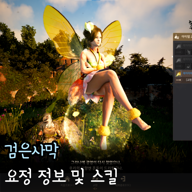  검은사막, 요정 총 정리 공략