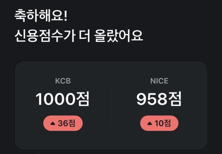  카카오페이로 하루에 신용점수 1000점으로 올린 후기(ft.방법, 대출)
