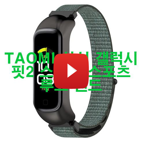 TAOMI 삼성 갤럭시 핏2 스트랩 스포츠 루프 밴드 신품 저렴하게 팝니다! 우와와!!!