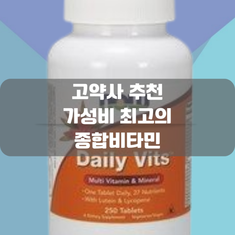 고약사 추천 가성비 최고의 종합비타민은 바로 이것 ㅡ 나우푸드 데일리 비츠 멀티비타민