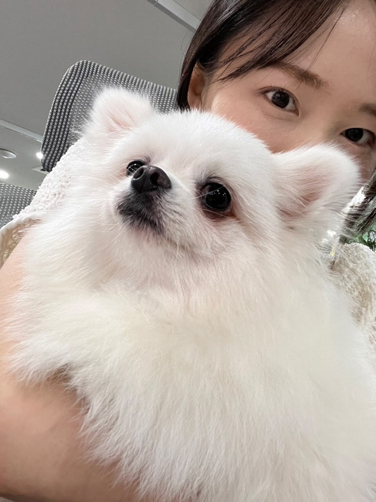  [일상] 바닥으로 추락해버린 내 면역력