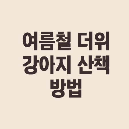 여름 강아지 산책 주기 및 산책방법 +더위 폭염 산책 준비물