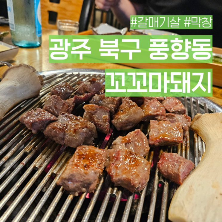  광주 풍향동 밤실마을 현지인 고기 맛집 꼬꼬마돼지