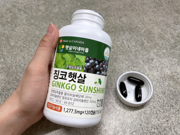  햇살이네마을 징코햇살 정맥순환개선제 혈액순환 생리통 개선까지