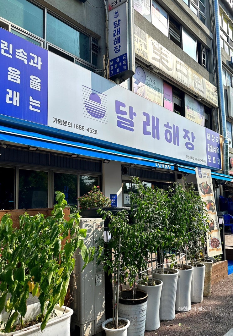  [안산 선부역] 해장?! 가능한데 여기 음식이 술을 부르는데 우짜지~ : 달래해장 안산선부점