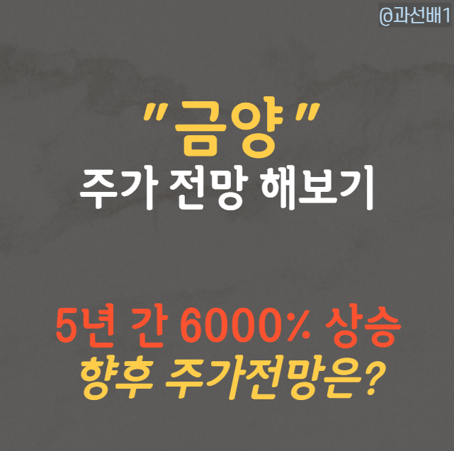  금양 주가 전망과 2분기 실적 발표 전 주요뉴스 (ft.거래정지)