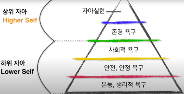  규칙