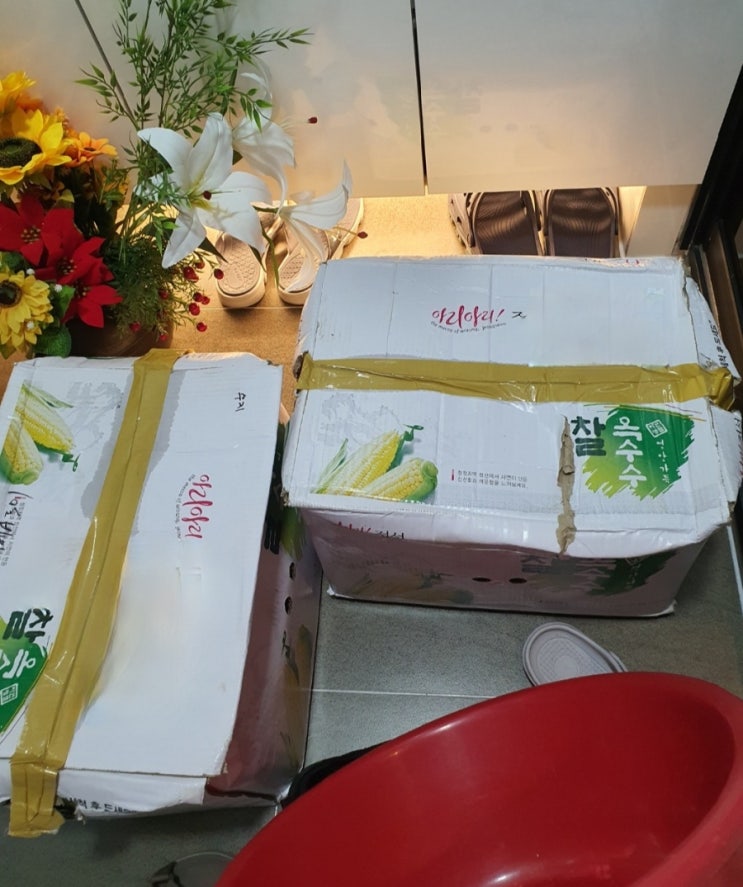  옥수수 분리수거 고르는법 삶는법 보관법 칼로리까지