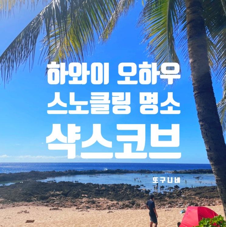 미국 하와이 여행, 오하우 북부 스노쿨링 명소 샥스코브 후기