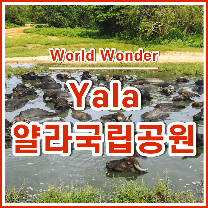  얄라국립공원의 활기찬 사파리투어 Yala National Park Safari-Tour [스리랑카12]