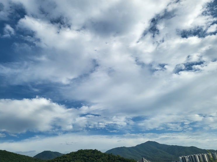  승계집행문 이의신청 및 특별한정승인 법무사 도움이 필요하면 (부천, 인천, 김포, 시흥, 광명)
