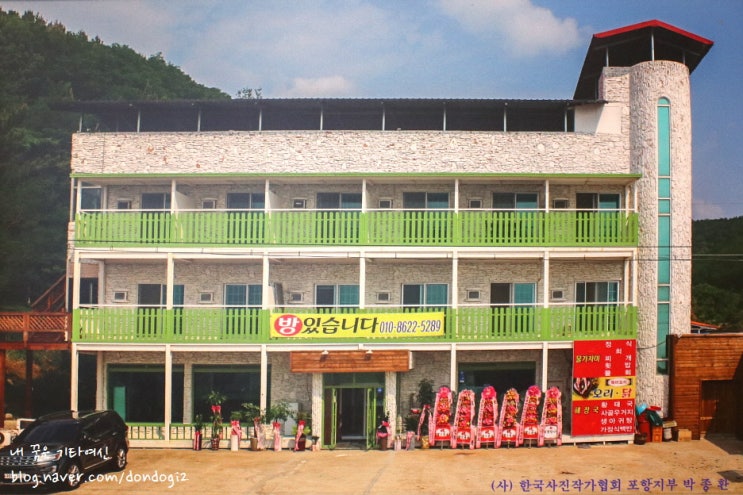  영덕 허영만 백반기행 물가자미 맛집 영덕물가자미전문점